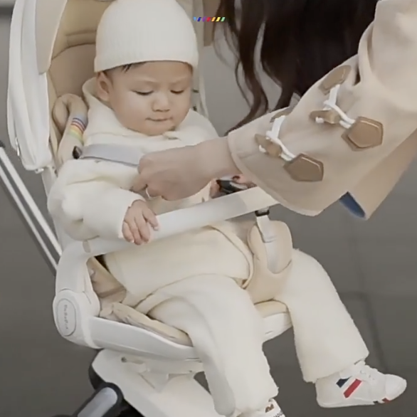 BeBeBus Ultra-Lightweight Foldable 2-Way Stroller | High-View Convertible Reversible Baby Pushchair